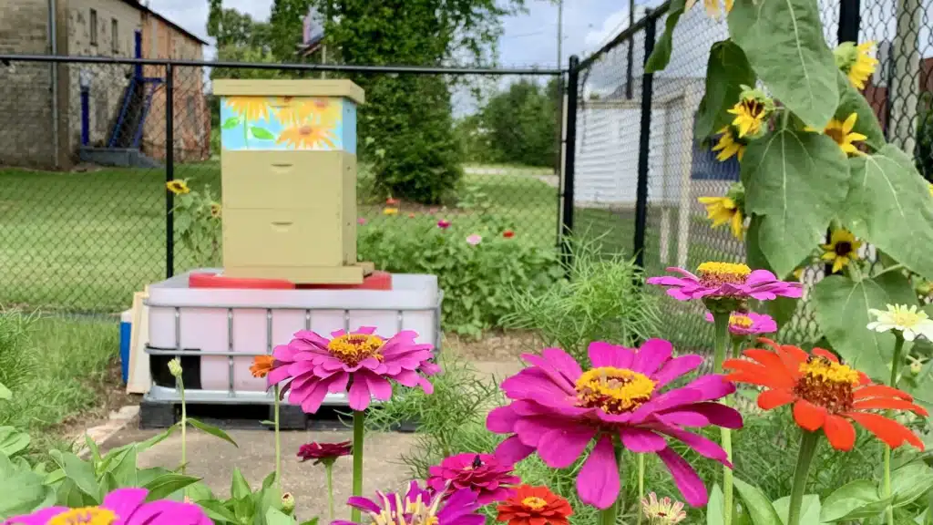 Tuskegee University’s Urban Agriculture & Innovation Center is gaining national attention for transforming a Montgomery food desert into a hub for fresh food, education, and community empowerment—highlighted in a recent USA Today feature.